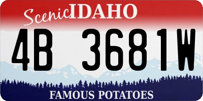 ID license plate 4B3681W