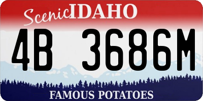 ID license plate 4B3686M
