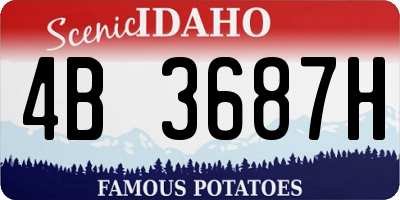 ID license plate 4B3687H