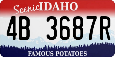 ID license plate 4B3687R