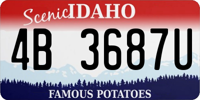 ID license plate 4B3687U