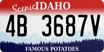 ID license plate 4B3687V