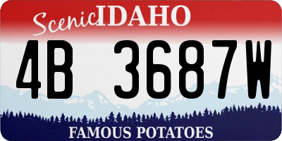 ID license plate 4B3687W