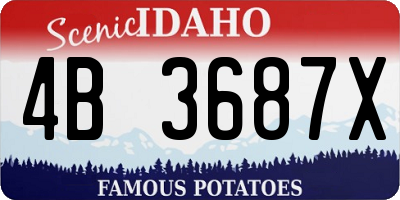 ID license plate 4B3687X