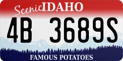 ID license plate 4B3689S