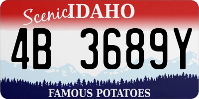 ID license plate 4B3689Y