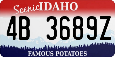 ID license plate 4B3689Z