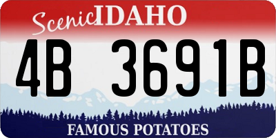 ID license plate 4B3691B