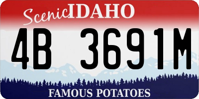 ID license plate 4B3691M