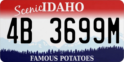 ID license plate 4B3699M