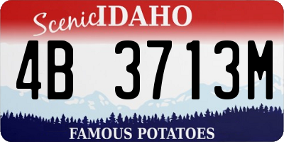 ID license plate 4B3713M