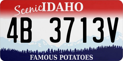 ID license plate 4B3713V