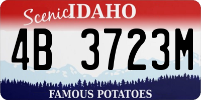 ID license plate 4B3723M