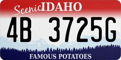 ID license plate 4B3725G