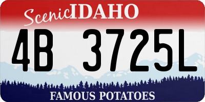 ID license plate 4B3725L