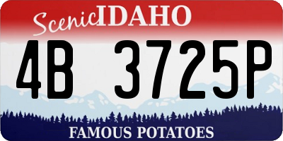ID license plate 4B3725P