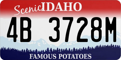 ID license plate 4B3728M