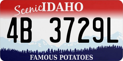 ID license plate 4B3729L