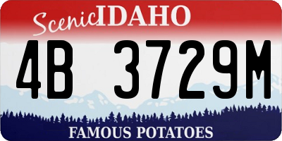 ID license plate 4B3729M
