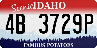 ID license plate 4B3729P
