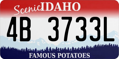 ID license plate 4B3733L