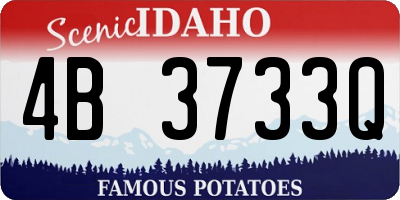 ID license plate 4B3733Q