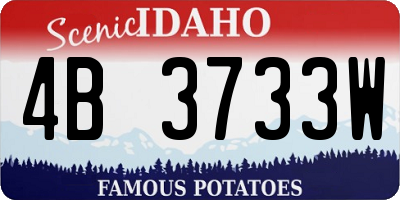 ID license plate 4B3733W