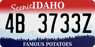 ID license plate 4B3733Z