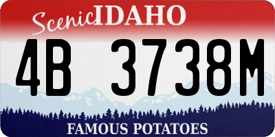 ID license plate 4B3738M