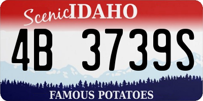ID license plate 4B3739S