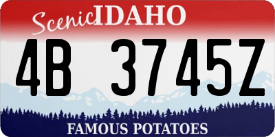 ID license plate 4B3745Z