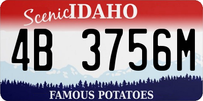 ID license plate 4B3756M