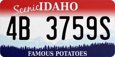 ID license plate 4B3759S