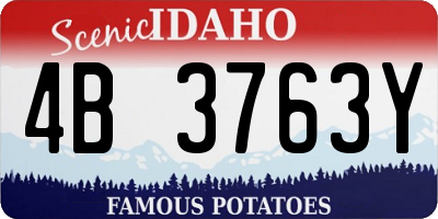 ID license plate 4B3763Y