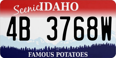 ID license plate 4B3768W