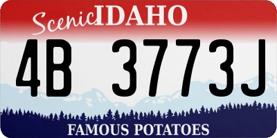 ID license plate 4B3773J