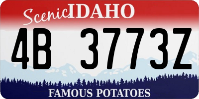ID license plate 4B3773Z