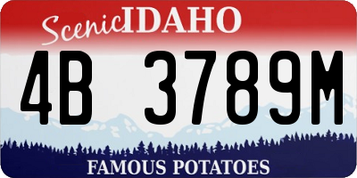 ID license plate 4B3789M