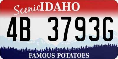 ID license plate 4B3793G