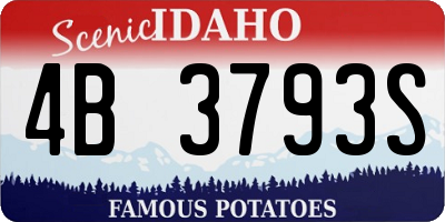 ID license plate 4B3793S