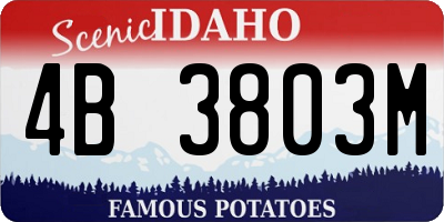 ID license plate 4B3803M