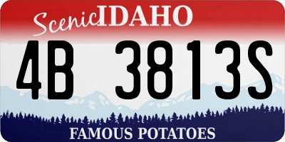 ID license plate 4B3813S