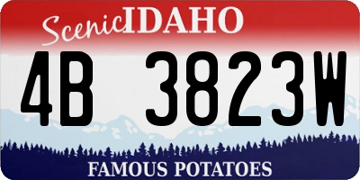 ID license plate 4B3823W