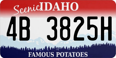 ID license plate 4B3825H