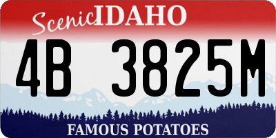 ID license plate 4B3825M