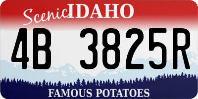 ID license plate 4B3825R