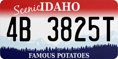 ID license plate 4B3825T