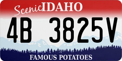 ID license plate 4B3825V