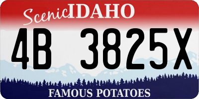 ID license plate 4B3825X
