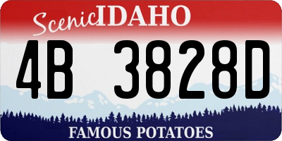 ID license plate 4B3828D